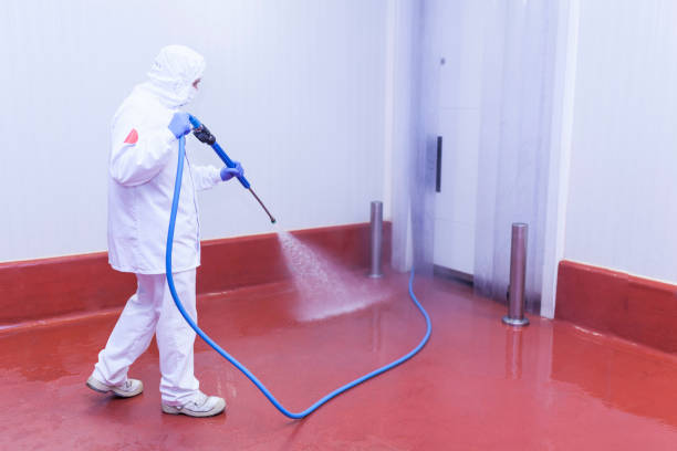Best Restaurant Pressure Washing  in Wimauma, FL