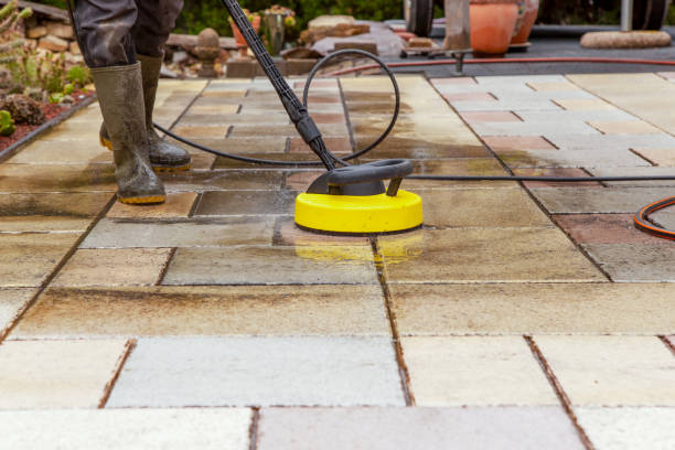 Best Driveway Pressure Washing  in Wimauma, FL