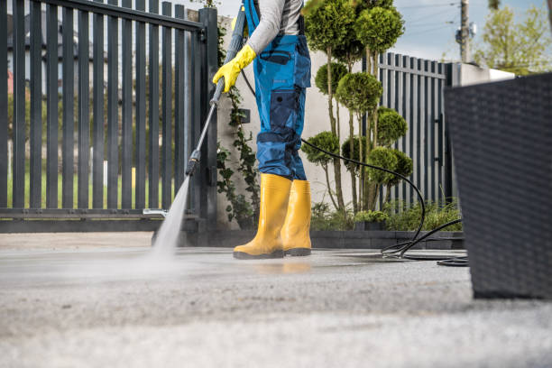 Best Patio and Deck Pressure Washing  in Wimauma, FL