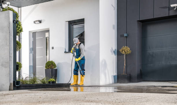 Best Graffiti Removal  in Wimauma, FL